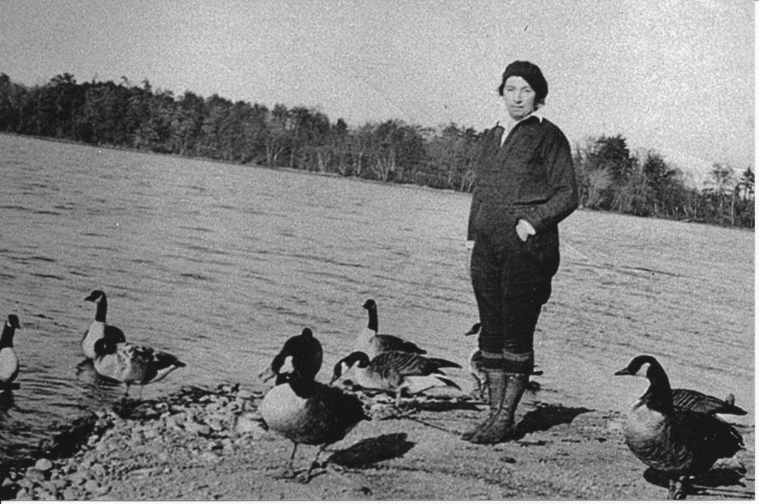 2 'Gussie Goose,' Live Decoys. Birch Point Gunning Club, Canton MA.jpg