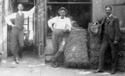 1900~ Whip Sale - staff.jpg