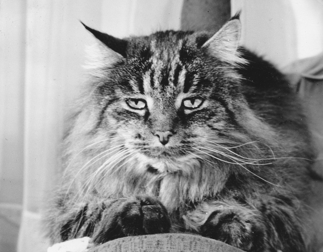 1958 Whiskers Frisbie (age 12).jpg