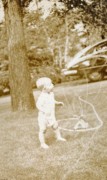 1949-07~ 1 Thirsty Pete Jr, Wellesley MA.jpg