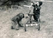 1949-12-17 7 Peter & Pete Jr with trike, the weekend before Christmas.jpg