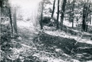 1954-05-30 3 Dan & Pete Jr, Diane's rock divider in progress - before pachysandra!.jpg