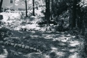 1954-05-30 5 Dan, rock divider in progress - possibly bits of pachysandra.jpg