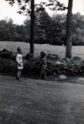 1954-06-28~ 8 Pete Jr, Dan & cows in field; across the road from the Perry house, Weare NH.jpg