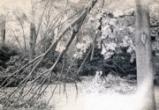 1954-09-03~ 2 Pete Jr & Dan, after the storm (likely Hurricane Carol).jpg