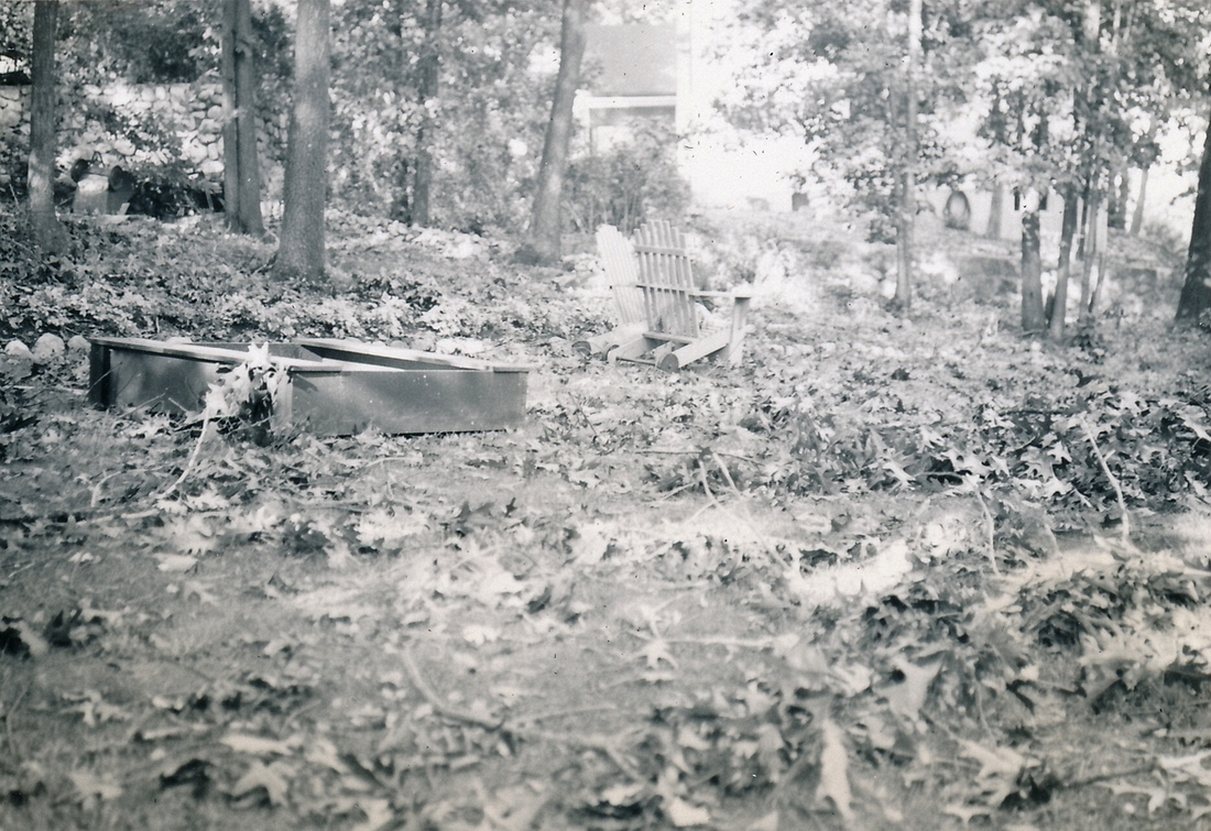 1954-09-03~ 4 Our back yard..jpg