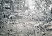 1954-09-03~ 4 Our back yard..jpg