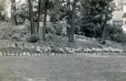 1955-07~ 8 Mom's rock garden with variegated bishop's weed and small shrub (pachysandra has not yet taken hold); back yard, 204 Highgate, Needham.jpg