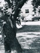 1955-08 03 Pete Jr & Dan, tree climbing; Vacation, Cape Ann & Southern NH.jpg