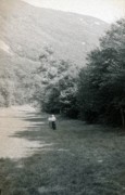 1955-08 12 Ravine on other side of road from parking (heading north).jpg