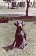 1956-08~ 2 Dusty.jpg