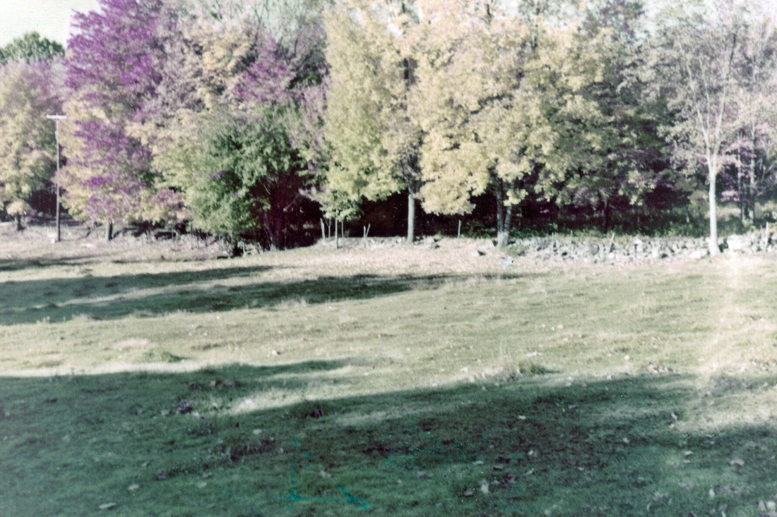 1956-10 1 Fall Foliage, Weare NH.jpg