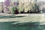 1956-10 1 Fall Foliage, Weare NH.jpg