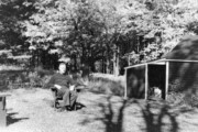 1956-10 3 Ped in back yard, Weare NH.jpg
