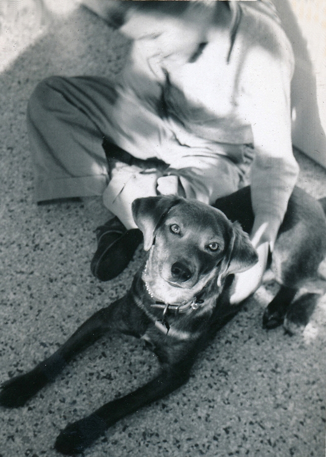 1957-01~ Dan & Dusty on new kitchen floor.jpg