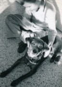 1957-01~ Dan & Dusty on new kitchen floor.jpg