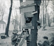 1957-04-19~ 2 Pete Jr with saw, Dan inside, and Davy Rogerson with hammer.jpg