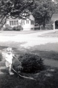 1958-07 4 Andrea & Dusty.JPG