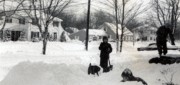 1960-03-06 03 Digging Out, 204 Highgate St, Needham .jpg