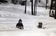 1960-03-06 08 Andrea & Dusty.jpg
