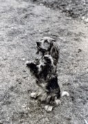 1949-03-26 7 Ritz.jpg