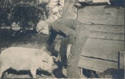 1916~ 04 Ped & Pig, Oxford CT.jpg