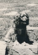 1938~ Antoinette (Toni).jpg