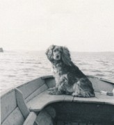 1941-08 09 Toni , Lake Winnisquam NH.jpg