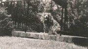 1943 2 Toni.jpg