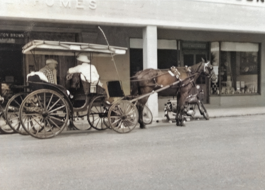 1956-09 03 Ped in the 'Surrey with the fringe on top', Hamilton, Bermuda.jpg