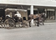 1956-09 03 Ped in the 'Surrey with the fringe on top', Hamilton, Bermuda.jpg