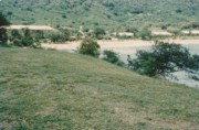 1967-05~ 5 Hawksbill, Antigua.jpg