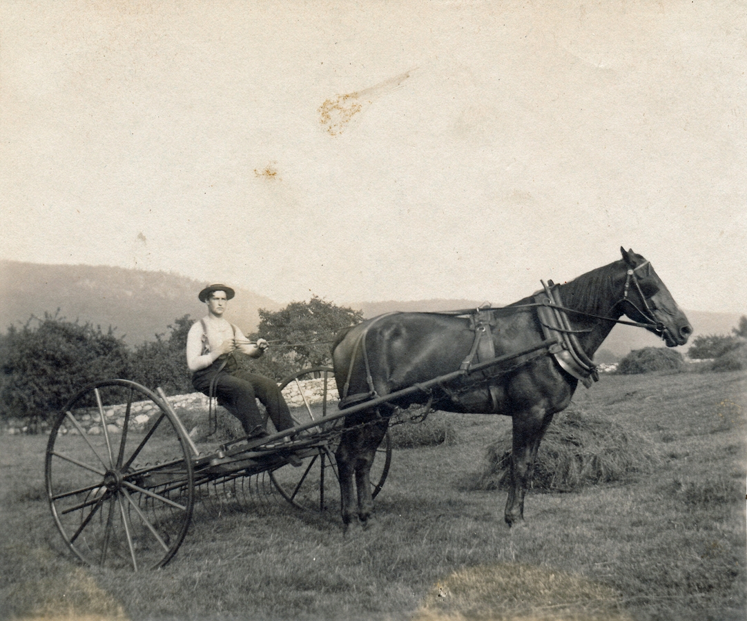 1899~ 1 Harry Perry at Oxford.jpg