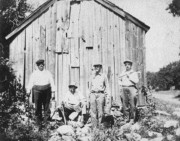 1915~ Mr Cable, Ped, Walt, Uncle Martin Sturdevant[Sturtevant].jpg
