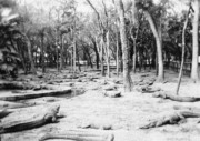 1937-02 1 St Augustine FL.jpg