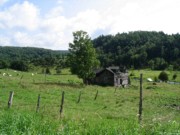 2004-07-29 0 Cheese Tour - Near Orb Weaver Farm.JPG