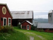 2004-07-29 1 Cheese Tour - Orb Weaver Farm, New Haven VT.jpg