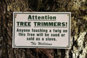 2004-10-10 4 Welldons tree sign, Islesboro.jpg