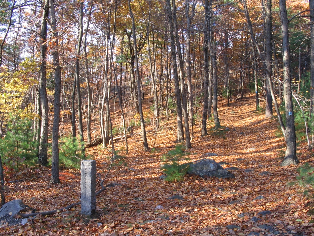 2004-10-31 1 Looking up Wampatuck Hill, Milton.JPG