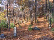 2004-10-31 1 Looking up Wampatuck Hill, Milton.JPG