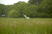 2006-06-08 3 Egret Landing - Kayaking on Herring River, Harwich.jpg