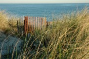 2006-09-27 Red Snow Fence, Sandwich.jpg