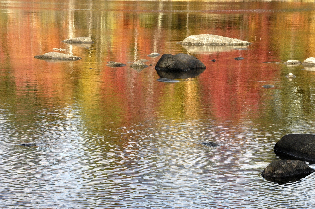 2007-10-15 8 Camden - Fernald's Neck hike.jpg