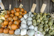 2007-10-15 9 Beth's Farm Market, Waldoboro.JPG