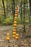 2007-10-20 2 Stow - Honey-Pot Hill Orchards.jpg