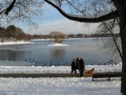 2007-12-14 1 Jamaica Pond snow and sunlight.JPG