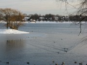 2007-12-14 2 Jamaica Pond snow and sunlight.JPG