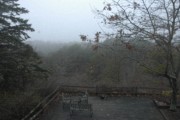 2007-12-29 1 Foggy View behind Wyckoff house, Truro.JPG