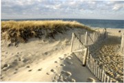 2007-12-31 7 Race Point, P'town.jpg
