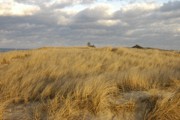 2007-12-31 8 Race Point, P'town.JPG